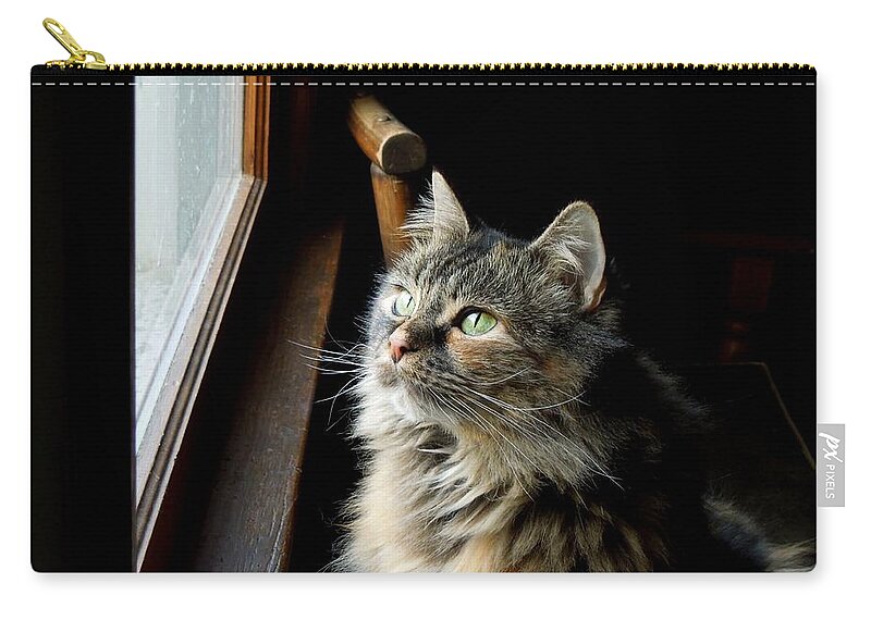 Cat Zip Pouch featuring the photograph Watching Snowflakes by Renee Trenholm