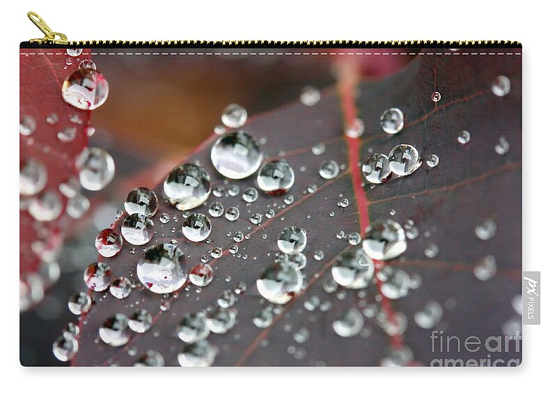 Water Zip Pouch featuring the photograph Water drops on Cotinus by Simon Bratt