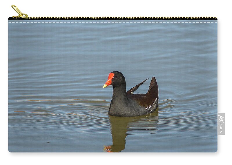 Duck Zip Pouch featuring the photograph Moorhen II by Carl Moore