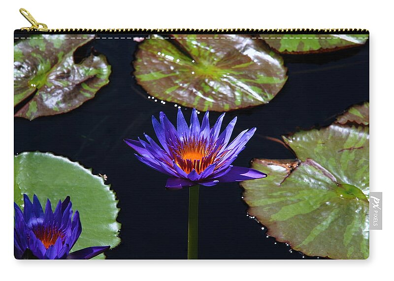 Water Zip Pouch featuring the photograph Water Lily 004 by Larry Ward