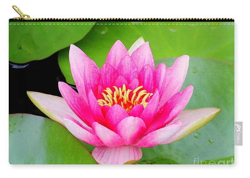 Blossom Carry-all Pouch featuring the photograph Water lily by Amanda Mohler