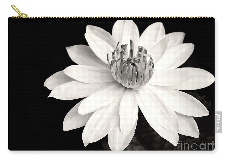Landscape Zip Pouch featuring the photograph Water Lily Ballerina by Sabrina L Ryan