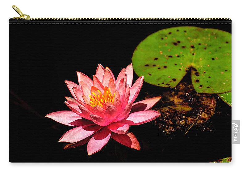 Water Lily Zip Pouch featuring the photograph Water Lily by John Johnson