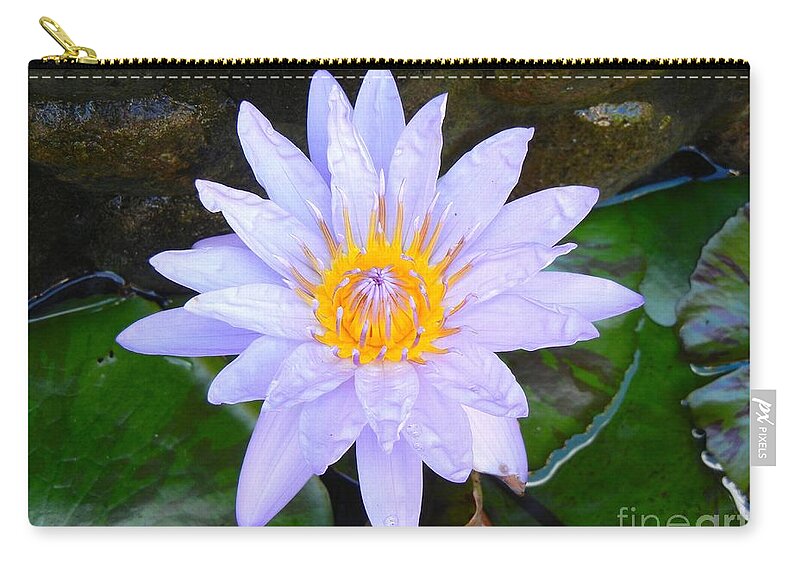 Water Lily Zip Pouch featuring the photograph Water Lily by Laura Forde