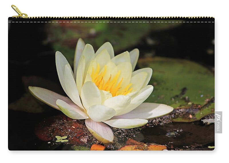 Minimal Zip Pouch featuring the photograph Water Lily by Michael Saunders