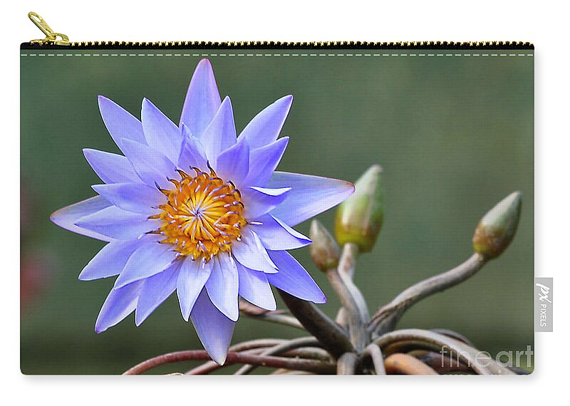 Flowers Carry-all Pouch featuring the photograph Water Lily Reflections by Kathy Baccari