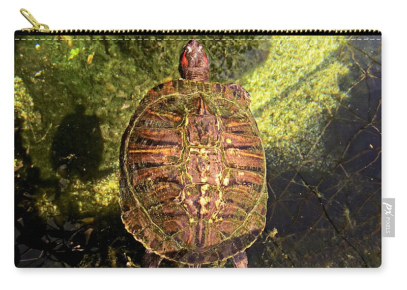 Green Zip Pouch featuring the photograph Waterlogged by Gaile Griffin Peers