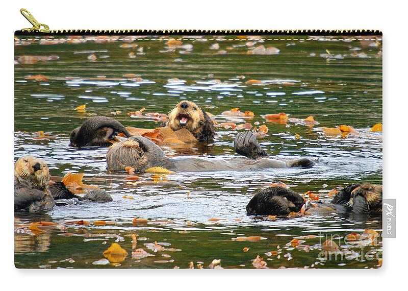 Wildlife Zip Pouch featuring the photograph We otter be in pictures by Bob Hislop