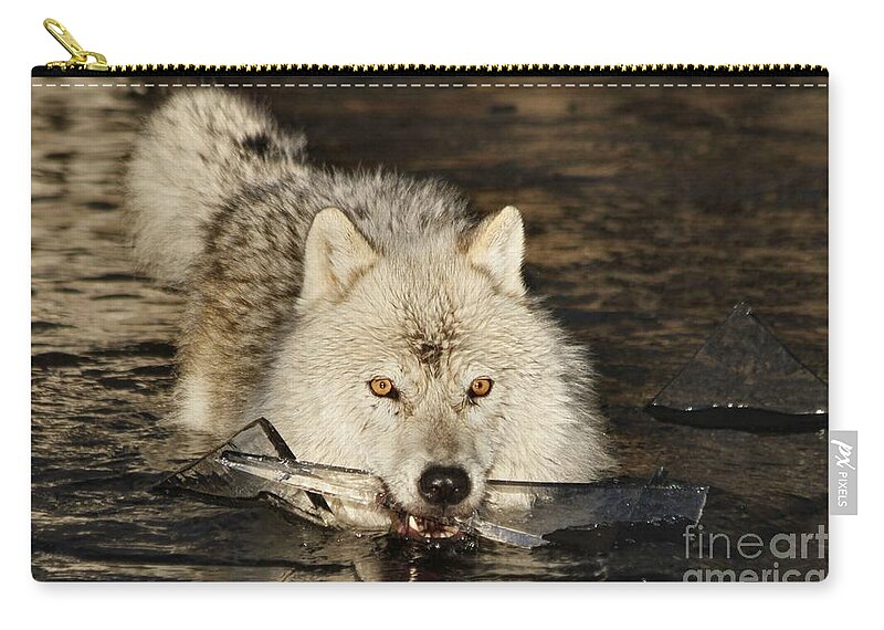 Arctic Wolf Zip Pouch featuring the photograph Weapon for a cold war by Heather King