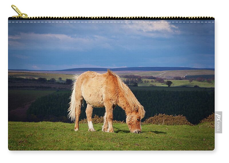 Animal Themes Zip Pouch featuring the photograph Welsh Mountain Pony by Clive Rees Photography