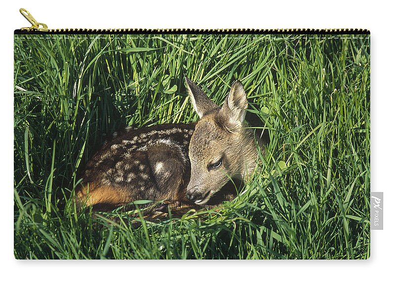 Feb0514 Zip Pouch featuring the photograph Western Roe Deer Fawn Resting by Konrad Wothe