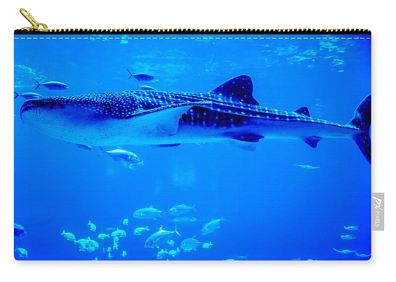 Animal Zip Pouch featuring the photograph Whale Sharks Swimming In Aquarium With People Observing by Alex Grichenko