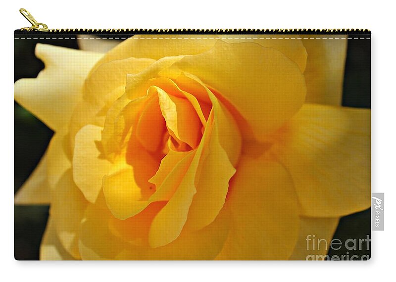 Roses Zip Pouch featuring the photograph What a Stunner by Clare Bevan