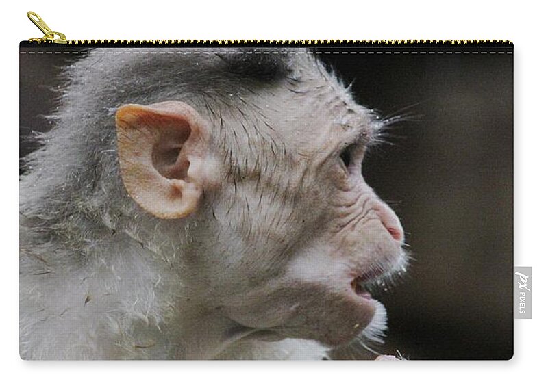 Monkey Zip Pouch featuring the photograph What is going on there... by Ramabhadran Thirupattur