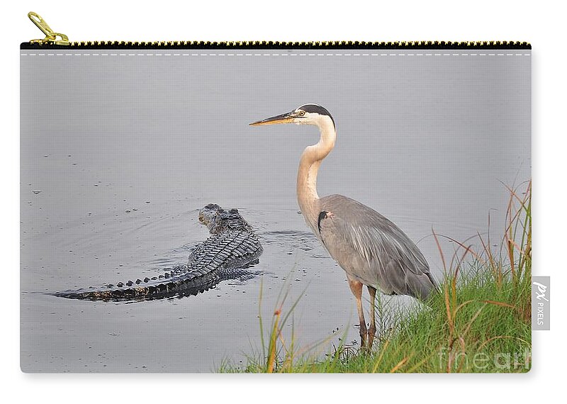 Birds Zip Pouch featuring the photograph What Lay Beneath by Kathy Baccari