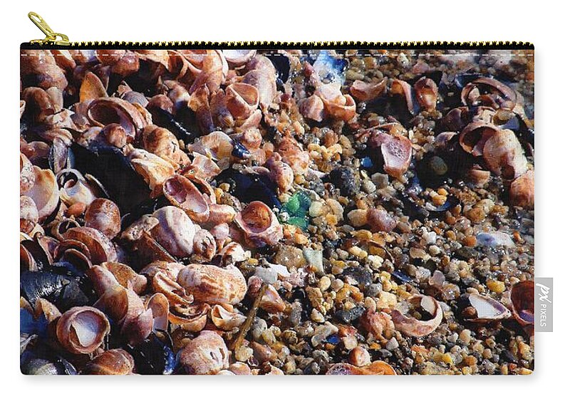 Shells Zip Pouch featuring the painting What the Shell's Going On by RC DeWinter