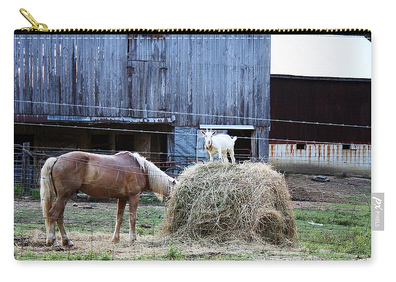 Goat Zip Pouch featuring the photograph What You Looking At by La Dolce Vita