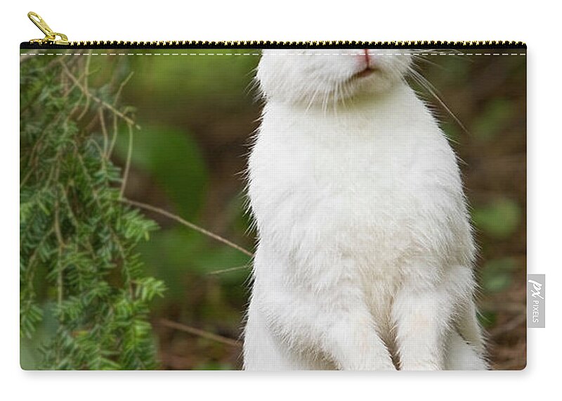 Rabbit Zip Pouch featuring the photograph What's Up Doc by Bill Wakeley