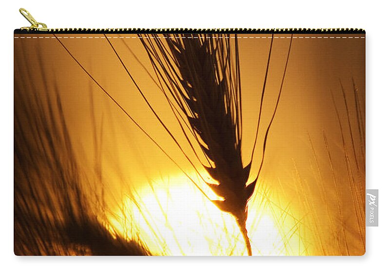 Sunset Zip Pouch featuring the photograph Wheat at Sunset Silhouette by Tim Gainey