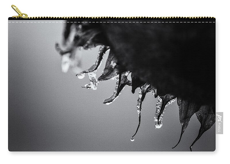 Natural Abstract Zip Pouch featuring the photograph When the Light Goes Out by Sue Capuano