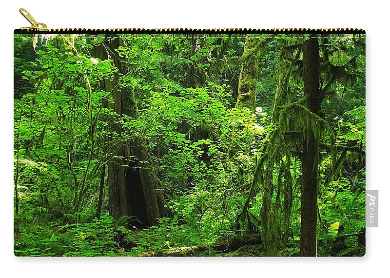 Green Zip Pouch featuring the photograph Where the forest people live revised by Teri Schuster