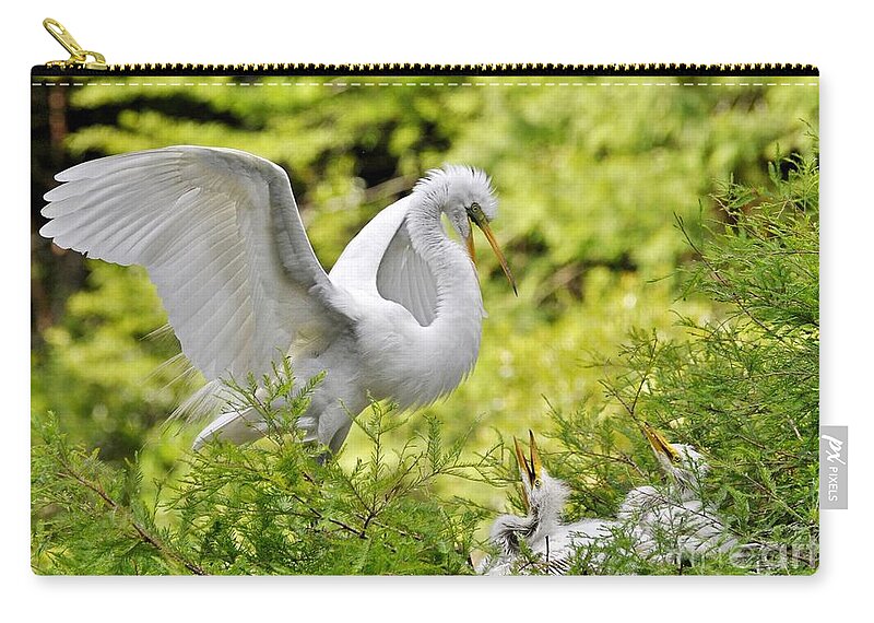 Egret Carry-all Pouch featuring the photograph Where's Our Lunch Ma by Kathy Baccari