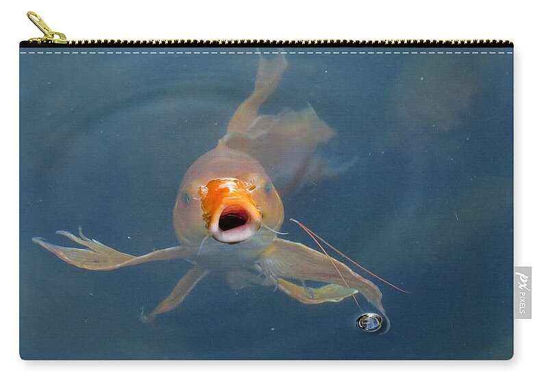 Fish Zip Pouch featuring the photograph Where's the Food by Laurel Powell