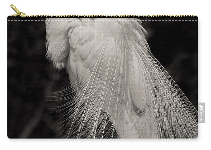 Giant Egret Zip Pouch featuring the photograph Whispy and Delicate by Deborah Benoit