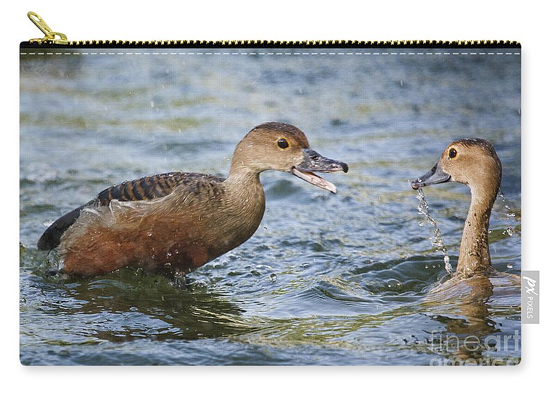 Ducks Zip Pouch featuring the photograph Whistling Ducks by Ronald Lutz