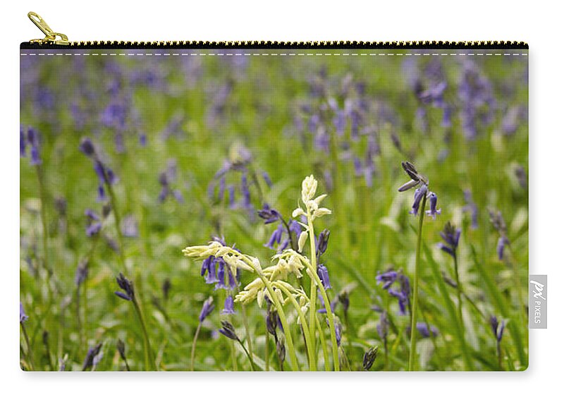 Forest Carry-all Pouch featuring the photograph White amongst the Blue by Spikey Mouse Photography
