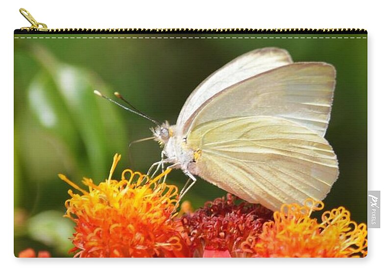 White Butterfly Zip Pouch featuring the photograph White Butterfly on Mexican Flame by Debra Martz