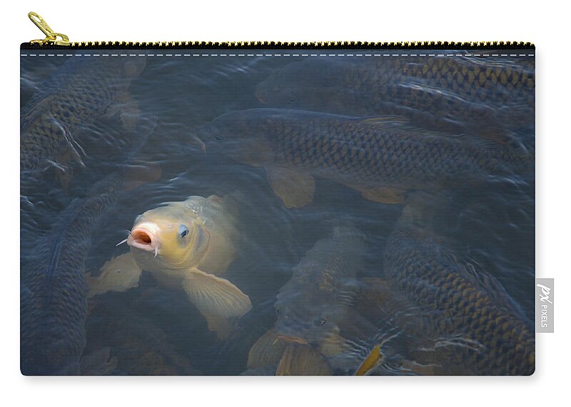 Fish Carry-all Pouch featuring the photograph White carp in the lake by Flees Photos