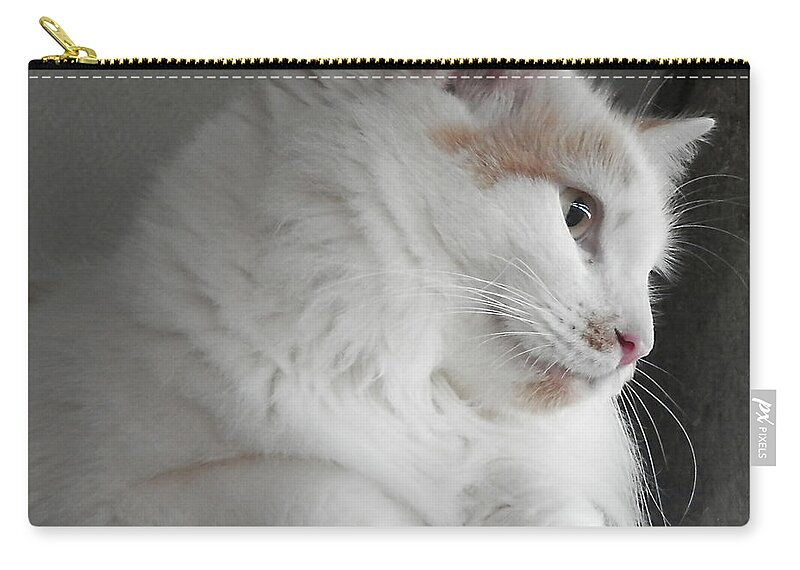 Karen Zuk Rosenblatt Art And Photography Zip Pouch featuring the photograph White Cat Portrait Two by Karen Zuk Rosenblatt