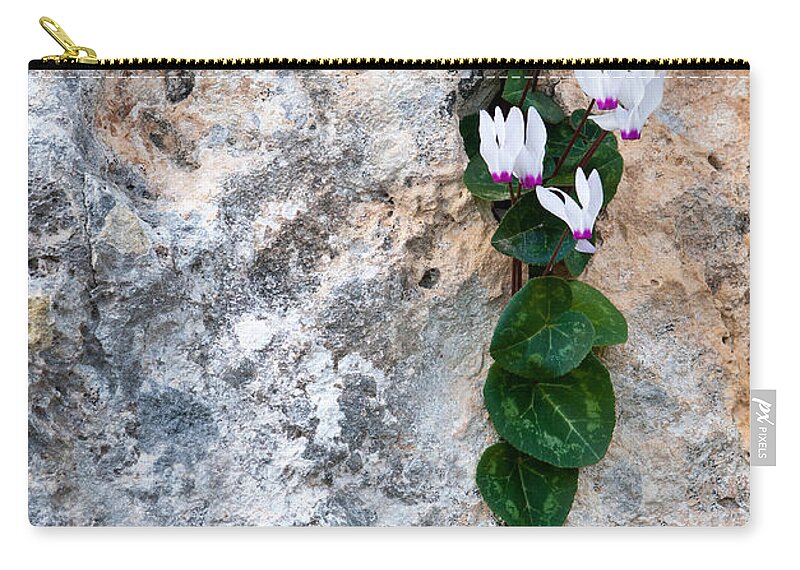 Cyclamen Carry-all Pouch featuring the photograph White Cyclamen flowers by Michalakis Ppalis