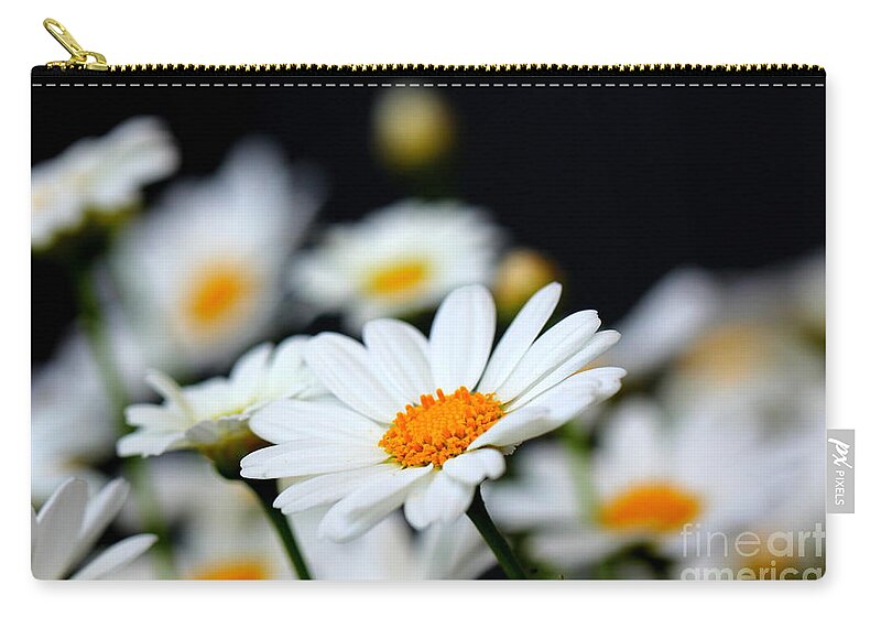 White Zip Pouch featuring the photograph White Daisies 2 by Amanda Mohler