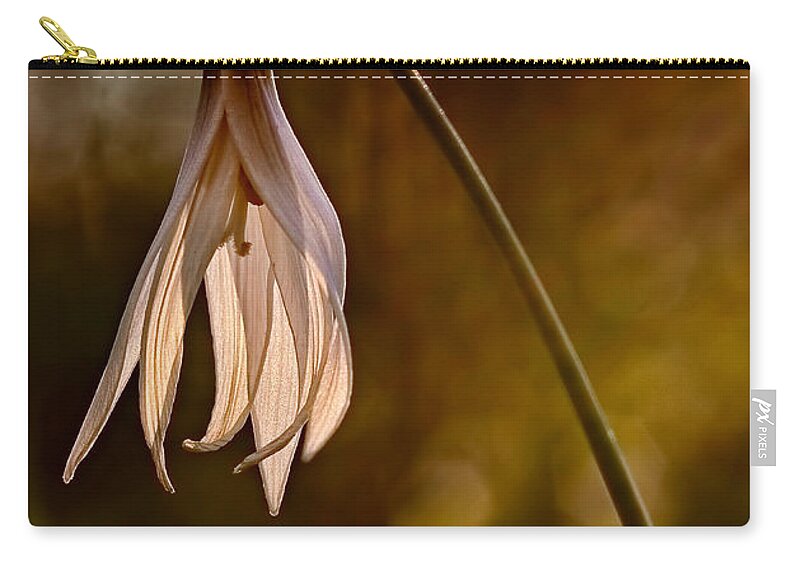 2012 Zip Pouch featuring the photograph White Dogtooth Violet by Robert Charity