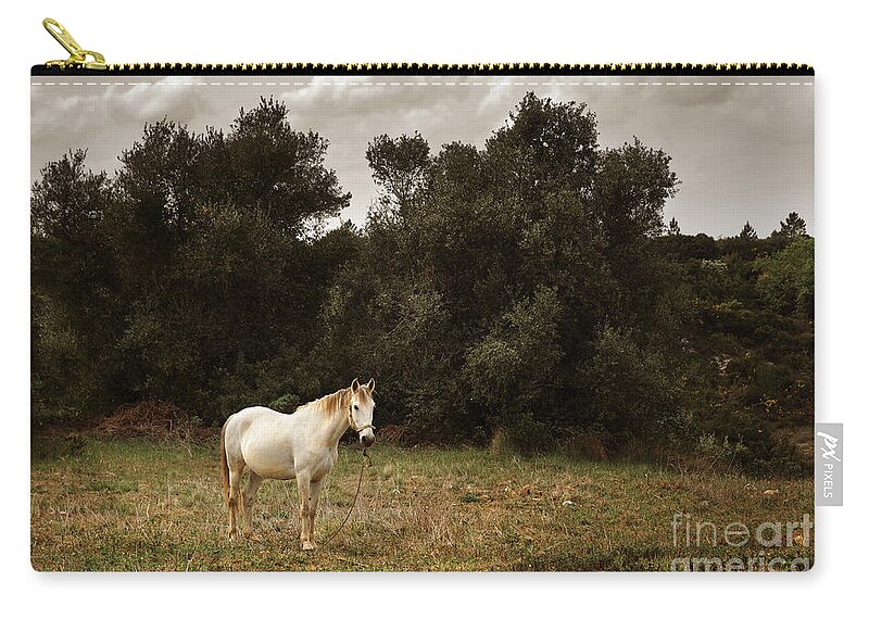 White Zip Pouch featuring the photograph White Horse by Carlos Caetano