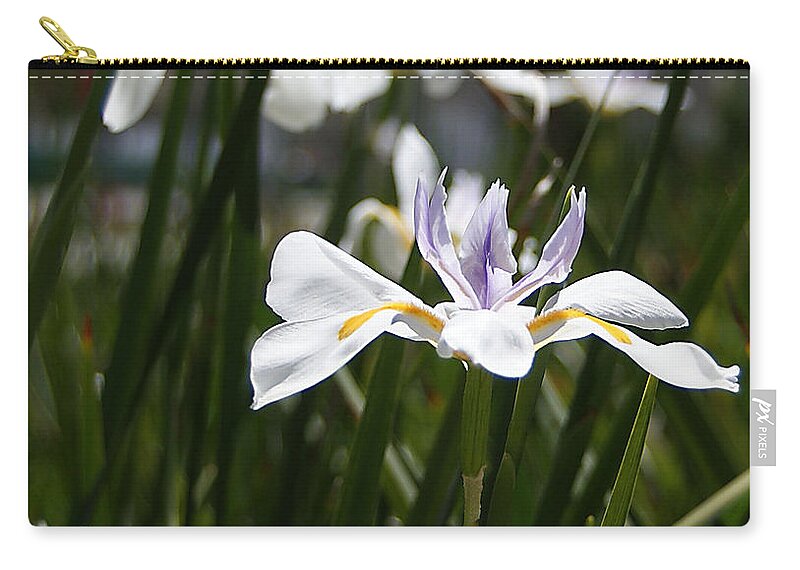 White Zip Pouch featuring the photograph White Iris Flower by Chauncy Holmes