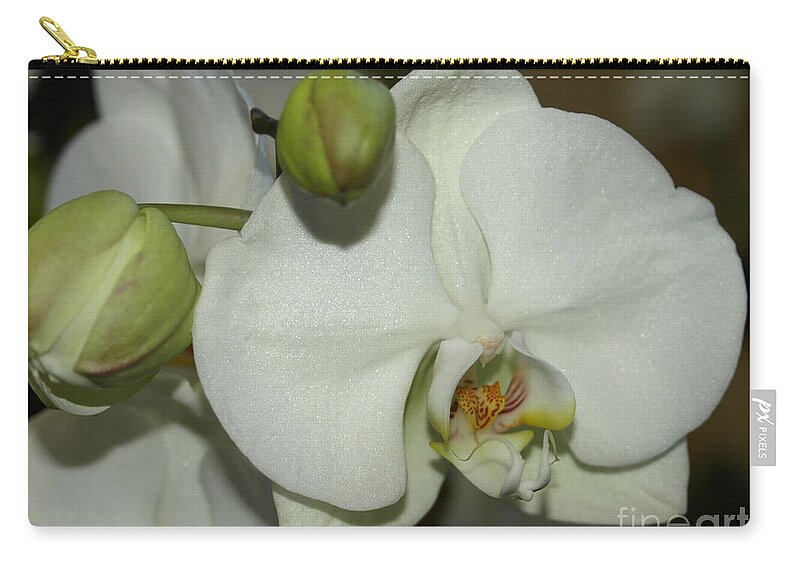 White Zip Pouch featuring the photograph White Orchid by Jacklyn Duryea Fraizer