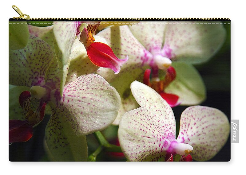 White Orchids Zip Pouch featuring the photograph White Orchids by Ingrid Smith-Johnsen