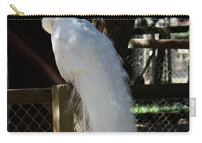 Peacock Zip Pouch featuring the photograph White Peacock by Lisa Billingsley