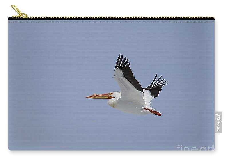  Zip Pouch featuring the photograph White Pelican in Flight by Marty Fancy