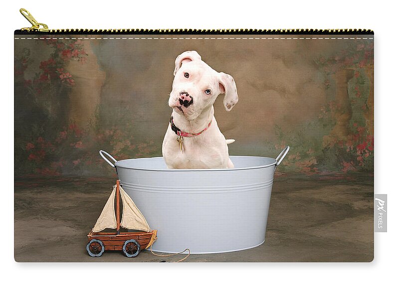 White Pitbull Puppy Portrait Carry All Pouch For Sale By James Bo Insogna