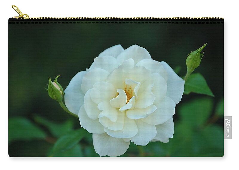 Linda Brody Zip Pouch featuring the photograph White Rose with Two Buds by Linda Brody