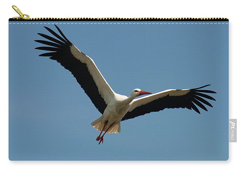 Belgium Zip Pouch featuring the photograph White Stork Belgium by Duncan Shaw
