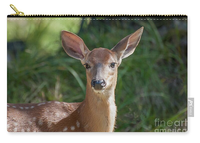 Fawn Zip Pouch featuring the photograph White-Tailed Fawn by Bianca Nadeau