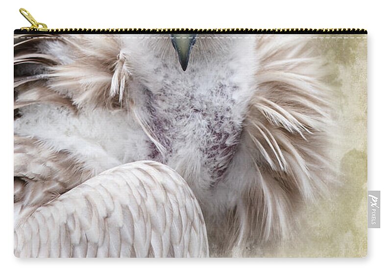 Vulture Zip Pouch featuring the photograph White Vulture by Barbara Orenya