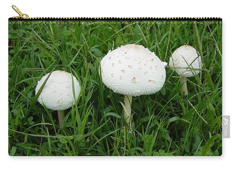 White Zip Pouch featuring the photograph White Wild Mushrooms by Dorothy Maier