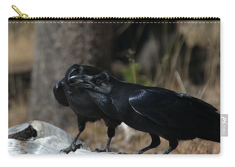 Raven Carry-all Pouch featuring the photograph Whoa you should see a dentist by Frank Madia