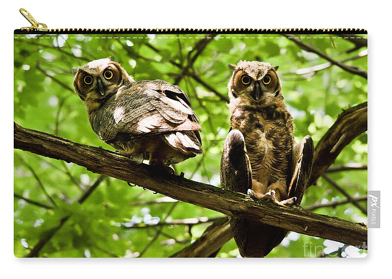 Owlets Zip Pouch featuring the photograph Whooo are You Looking At by Cheryl Baxter